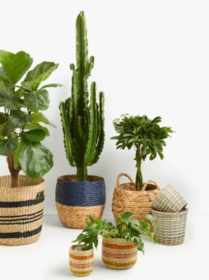 Patterned Weave Water Hyacinth Planter